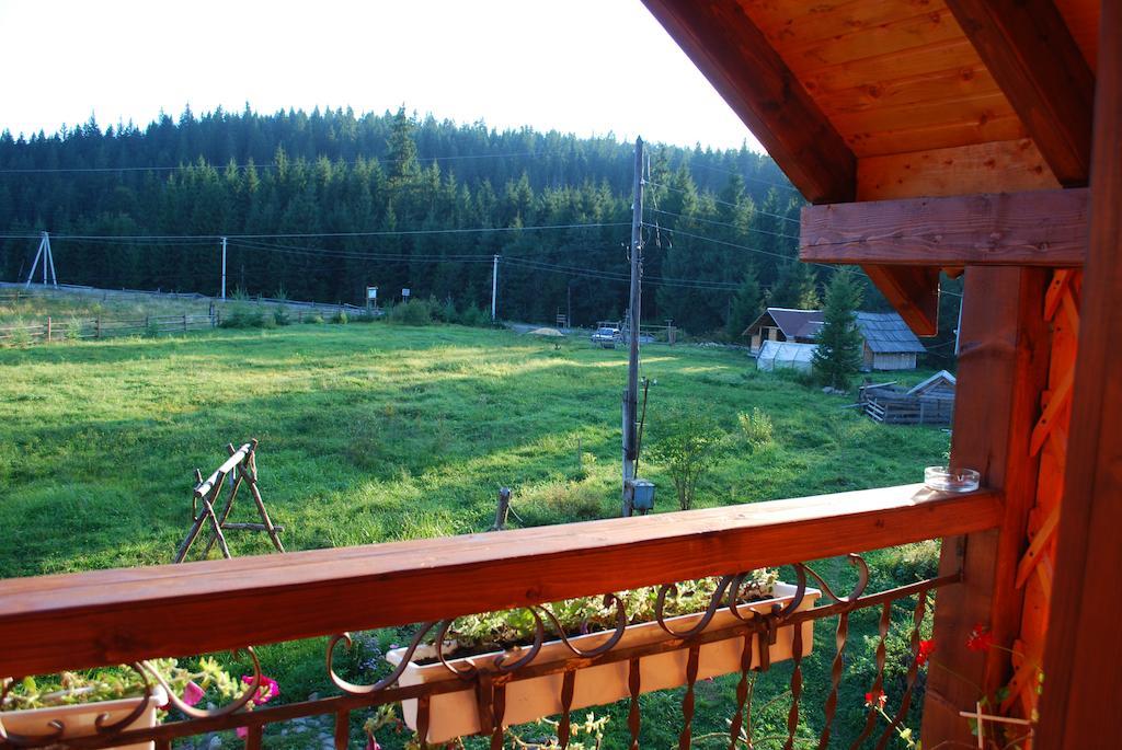 Cottage 12 Months Vorochta Buitenkant foto