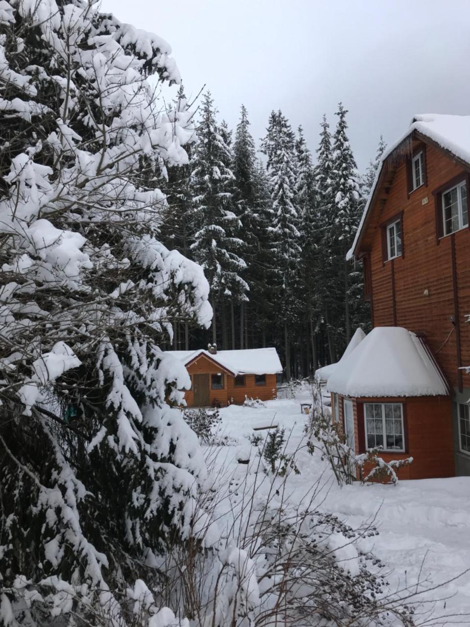 Cottage 12 Months Vorochta Buitenkant foto